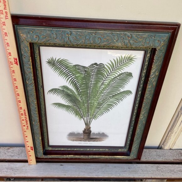 Framed Botanical Print Illustration 22'" x 17.5" - Picture 6 of 8
